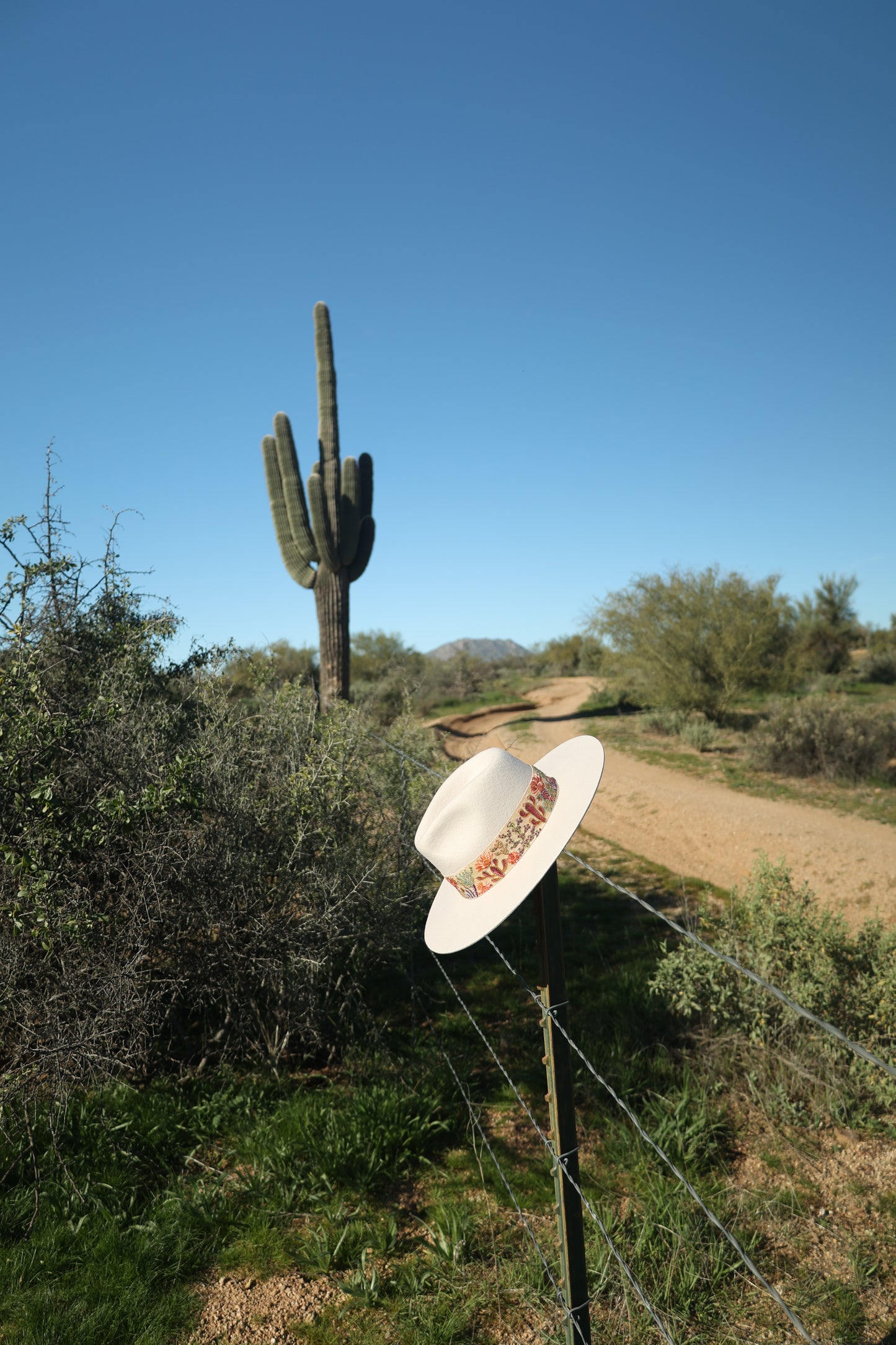 White Embroidered Desert Bloom Wool Hat