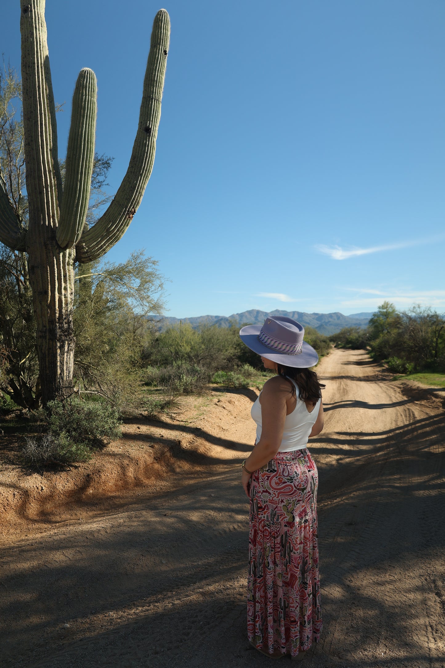 Desert Lavender Wool Hat