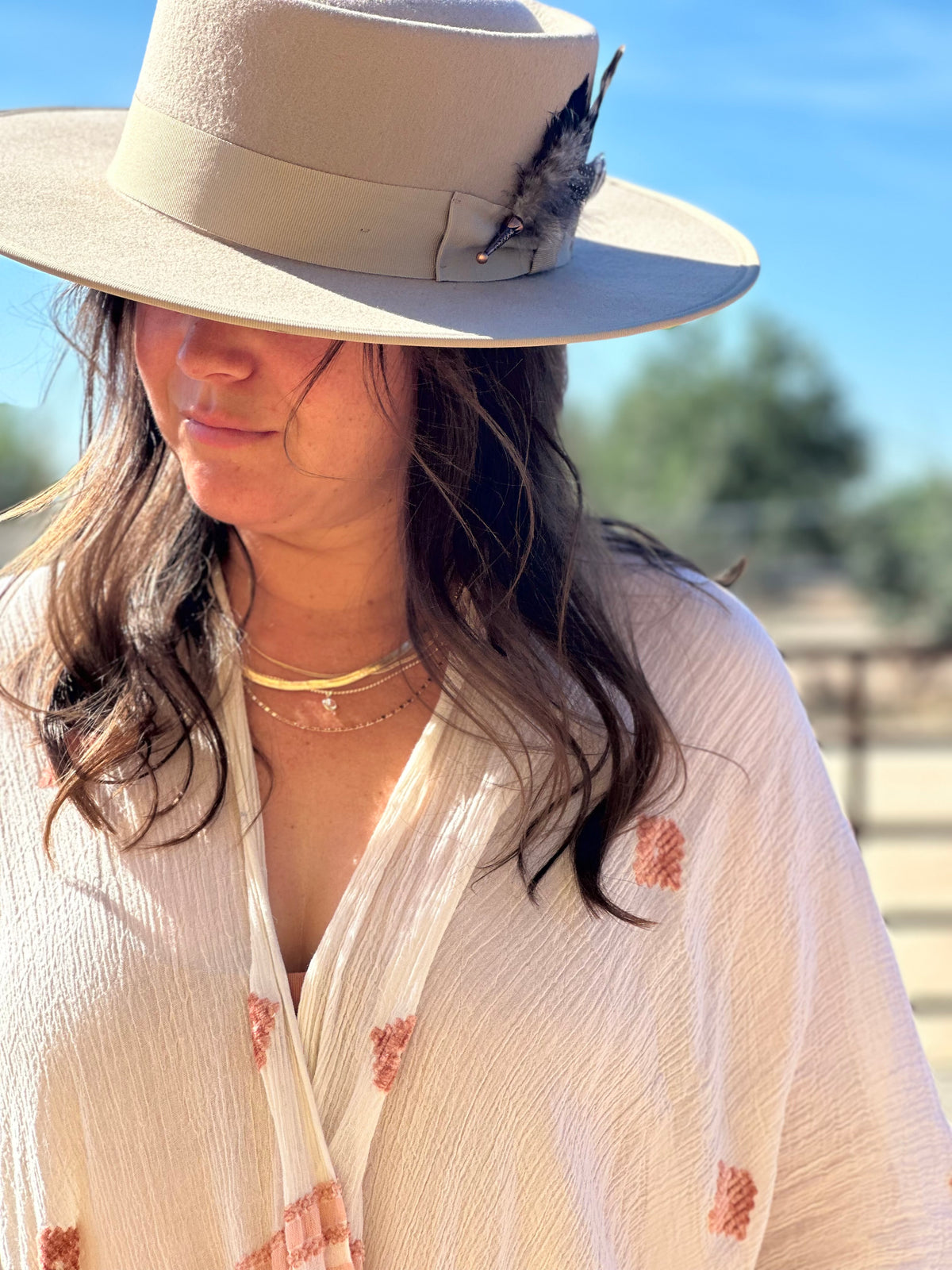 Desert Dove Taupe Wool Gambler Hat with Removable Feather Hat Pin
