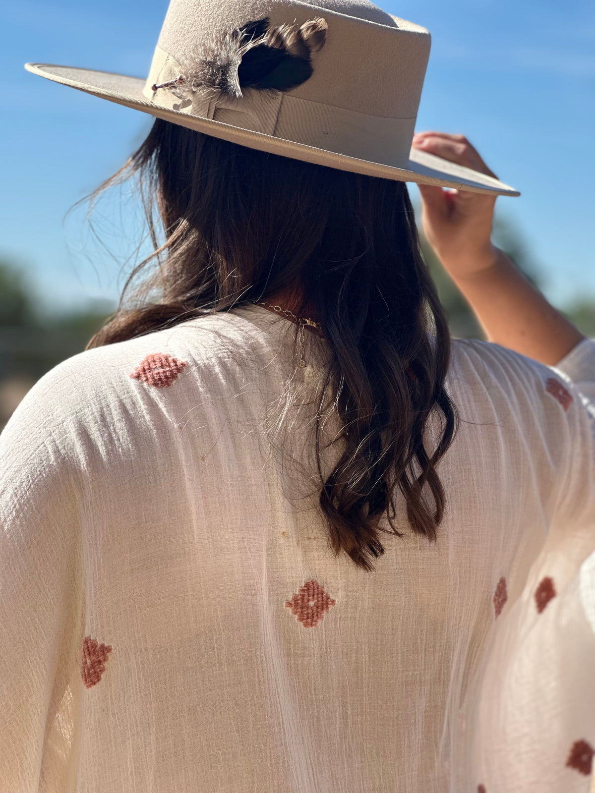Desert Dove Taupe Wool Gambler Hat with Removable Feather Hat Pin