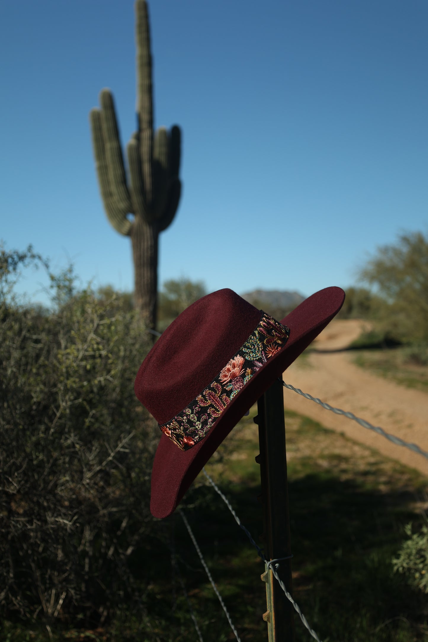 Burgundy Embroidered Desert Bloom Wool Hat